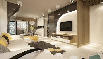 Living Area_View01
